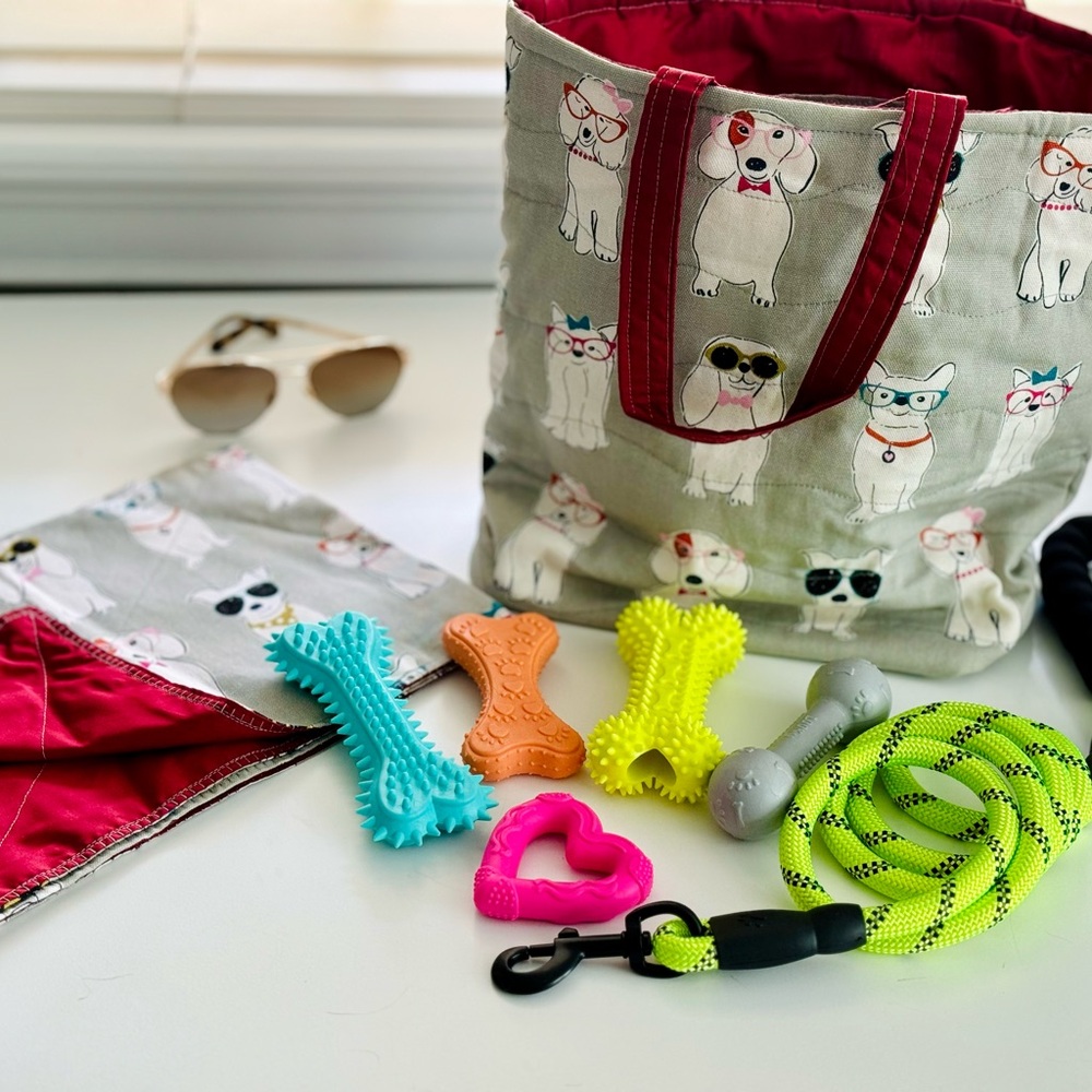 NWT🐾🩵Dog Gift Bag Reusable Pet Print Satchel 🐾🩵Comes w/leash,blanket & 5toys